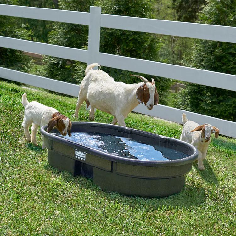 Dụng cụ vệ sinh Sao Việt