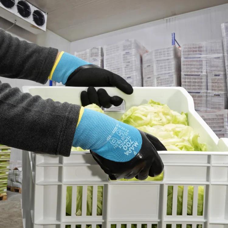 Dụng cụ vệ sinh Sao Việt