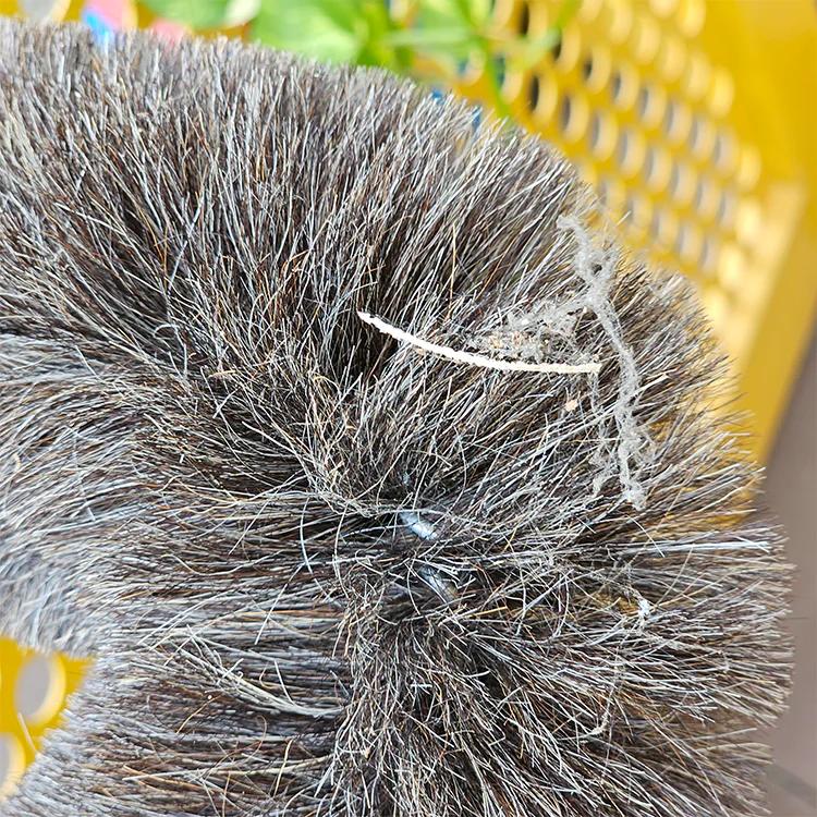 Dụng cụ vệ sinh Sao Việt